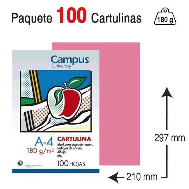 Cartulina Campus University A4 180 g. rosa